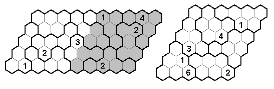 Polyominoes